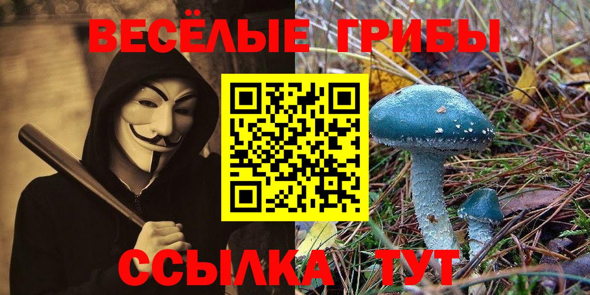 Псилоцибиновые грибы Psilocybine cubensis  Вход с VPN  Псилоцибиновые грибы мицелий  Воронеж 
